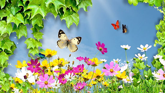 Monde merveilleux de fleurs sauvages, lumineux, herbe, fleurs sauvages, fleurs, marguerites, printemps, cosmos, lumière, papillons, Fond d'écran HD HD wallpaper