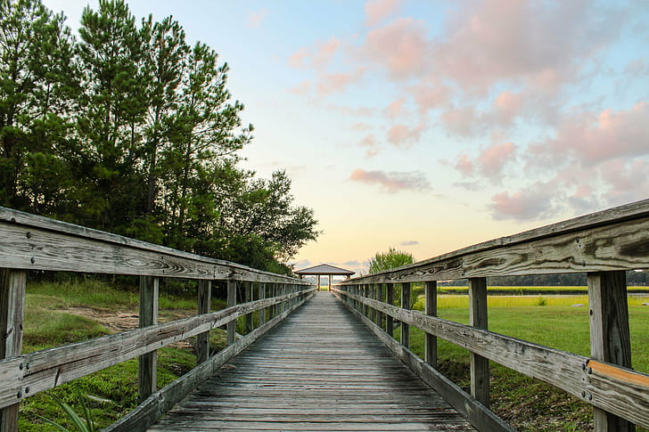 photography of gray wooden pathway with rails near tall trees under white skies, Dock, photography, pathway, rails, tall, trees, white skies, landscape, morning, sky, perspective, sunrise, view, nature, wood - Material, bridge - Man Made Structure, boardwalk, outdoors, tree, HD wallpaper