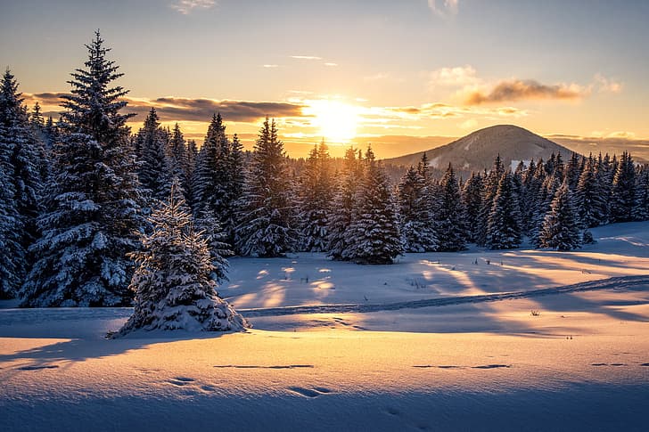 зима, лес, снег, закат, горы, Австрия, ели, сугробы, Штирия, HD обои