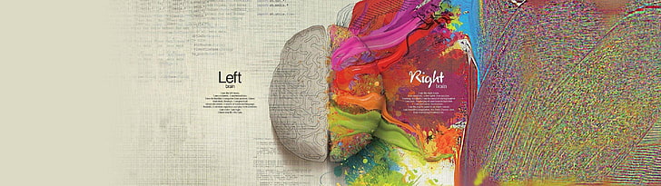illustration de cerveau multicolore, cerveau, créativité, fractionnement, peinture, coloré, mathématiques, éclaboussures de peinture, citation, infographie, Fond d'écran HD