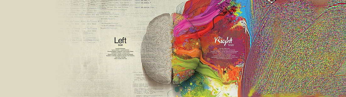 توضيح دماغ متعدد الألوان ، دماغ ، إبداع ، تقسيم ، رسم ، ملون ، رياضيات ، بقع طلاء ، اقتباس ، رسوم بيانية، خلفية HD HD wallpaper