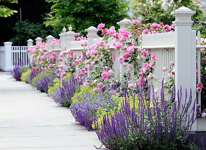 Recinzione da giardino, fiori rosa bianchi e rosa, recinzione da giardino, recinzione, bianco, fiori, fiore, rosa, rosa, blu, giallo, carino, primavera, estate, Sfondo HD HD wallpaper