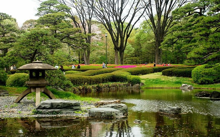 flowers, gardens, japan, japanese, spring, trees, water, HD wallpaper