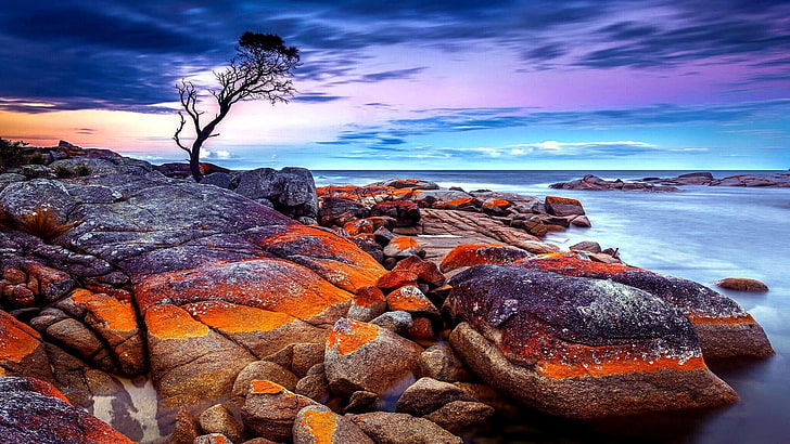 tasmanie, australie, mer, rocher, pierres, arbre, baie de feux, ciel, incroyable, paysage, paysage, Fond d'écran HD