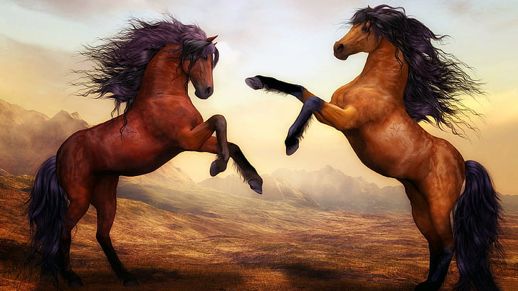 horse, mane, painting art, horses, painting, fighting, HD wallpaper