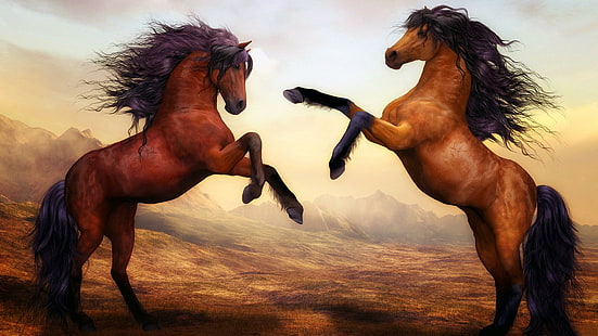 馬、たてがみ、絵画芸術、馬、絵画、戦い、 HDデスクトップの壁紙 HD wallpaper