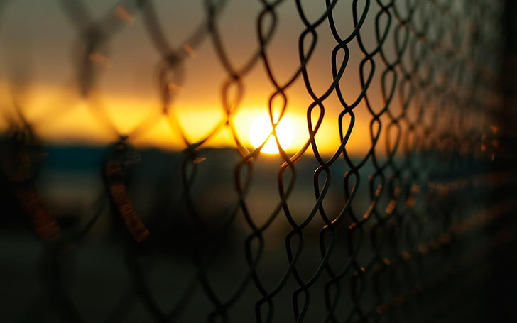 fence, Sun, macro, blurred, photography, HD wallpaper