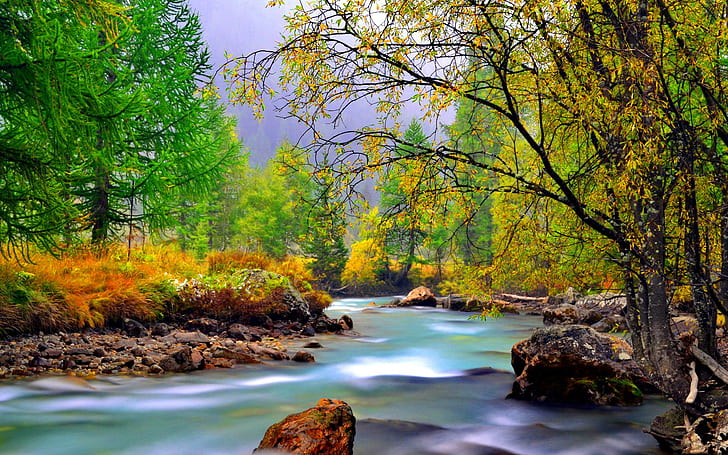 النهر الجبلي مع الصخور ، العشب المصفر ، دائم الخضرة والأشجار المتساقطة خلفية جميلة عالية الدقة، خلفية HD