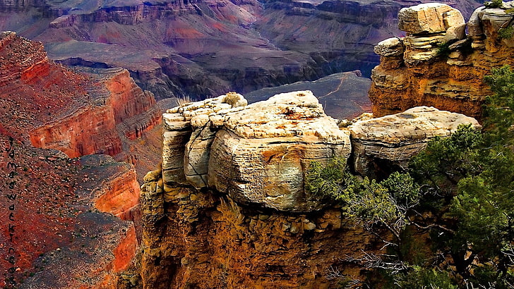 скальный памятник возле дерева, горы, природа, Гранд-Каньон, Национальный парк Гранд-Каньон, Аризона, HD обои