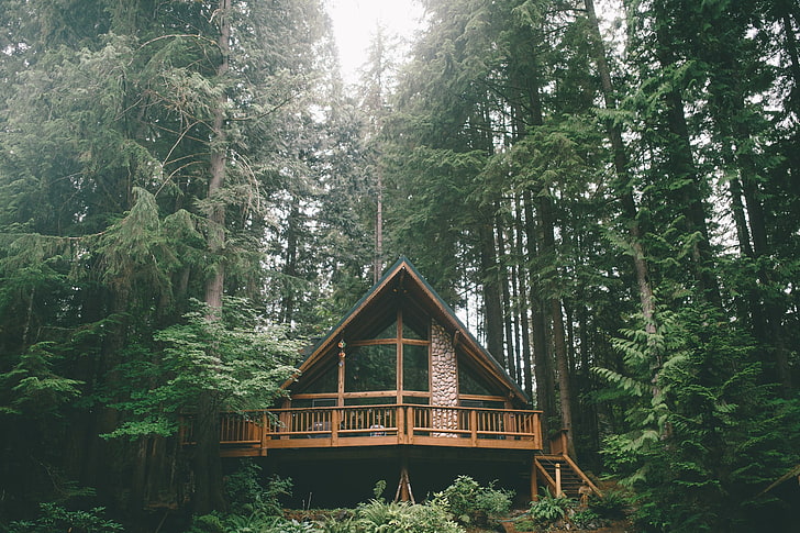 brązowy drewniany dom, las, drzewa, dom, wakacje, Tapety HD