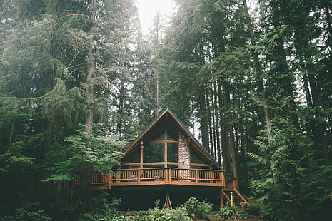 brązowy drewniany dom, las, drzewa, dom, wakacje, Tapety HD HD wallpaper
