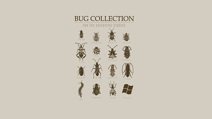 serangga, infografis, sains, hewan, Wallpaper HD