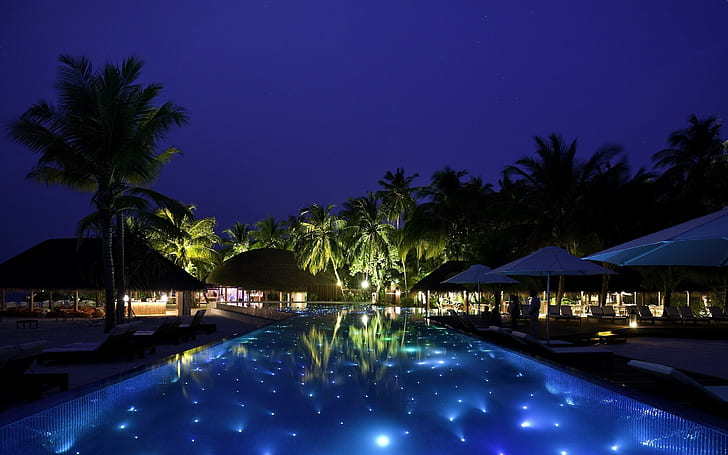 пальмы, бассейн, ночь, HD обои