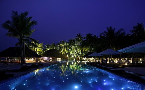 palmiye ağaçları, yüzme havuzu, gece, HD masaüstü duvar kağıdı HD wallpaper