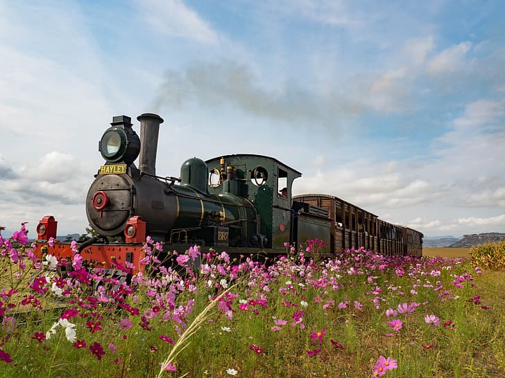 flowers, England, the engine, meadow, kosmeya, HD wallpaper