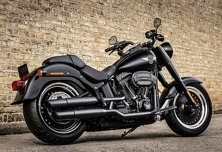 Harley-Davidson, Harley-Davidson Dicker Junge, Harley-Davidson Dicker Junge S, HD-Hintergrundbild HD wallpaper