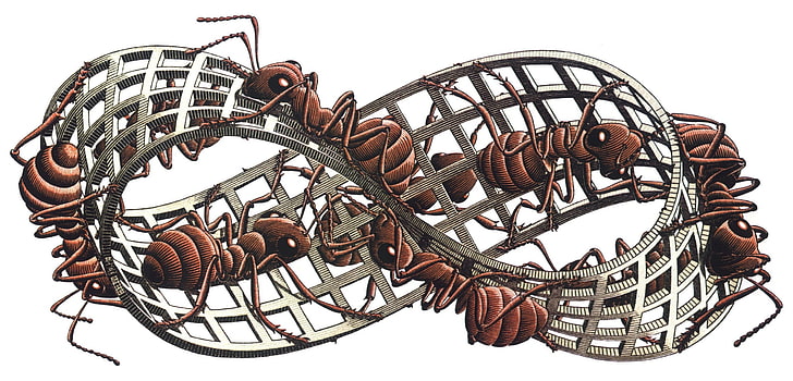 Ilustración de hormigas marrones, ilustraciones, M. C. Escher, insectos, hormigas, cuadrícula, 3D, fondo blanco, tira de Mobius, Fondo de pantalla HD