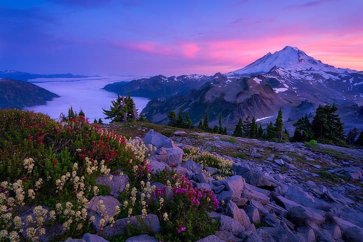 цветы, горы, камни, Каскадные горы, Mount Baker, штат Вашингтон, Cascade Range, штат Вашингтон, HD обои