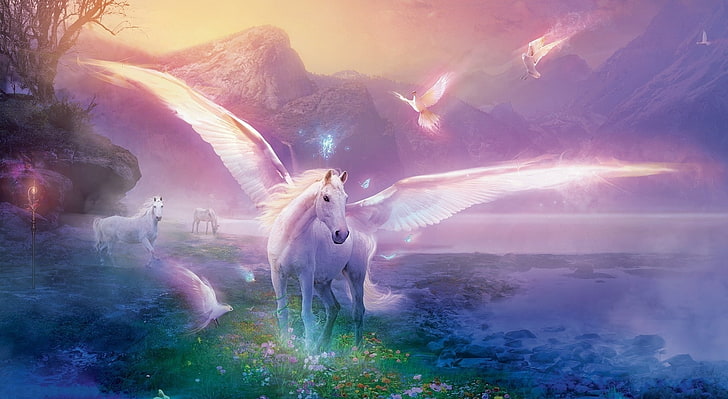 Pegasus, bianco pegasus illustrazione, Aero, Creative, Pegasus, Sfondo HD