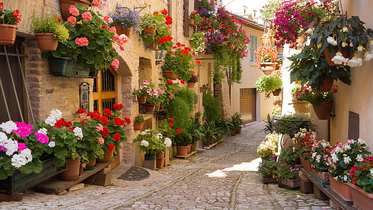 city, beautiful streets, street, flowers, greece, greece, beautiful streets, street, flowers, HD wallpaper