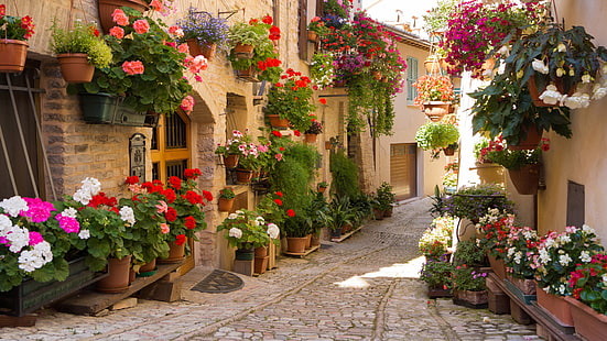 都市、美しい通り、通り、花、ギリシャ、ギリシャ、美しい通り、通り、花、 HDデスクトップの壁紙 HD wallpaper