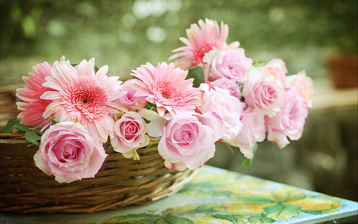 Pink rose, gerbera daisies, basket, Pink, Rose, Gerbera, Daisies, Basket, HD wallpaper