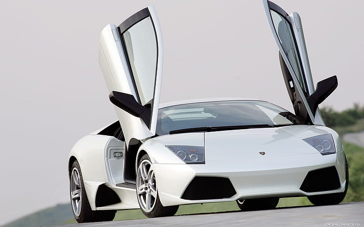 Białe Lamborghini, Białe, Lamborghini, Tapety HD
