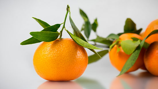 four orange fruits, tangerine, citrus, leaves, HD wallpaper HD wallpaper