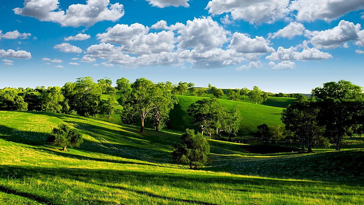 Zielona dolina, przyroda, błękitne niebo, białe chmury, drzewa, łąki, słońce, zieleń, dolina, natura, krajobrazy, niebieski, niebo, biel, chmury, drzewa, łąki, słońce, Tapety HD