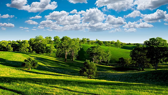 Zielona dolina, przyroda, błękitne niebo, białe chmury, drzewa, łąki, słońce, zieleń, dolina, natura, krajobrazy, niebieski, niebo, biel, chmury, drzewa, łąki, słońce, Tapety HD HD wallpaper