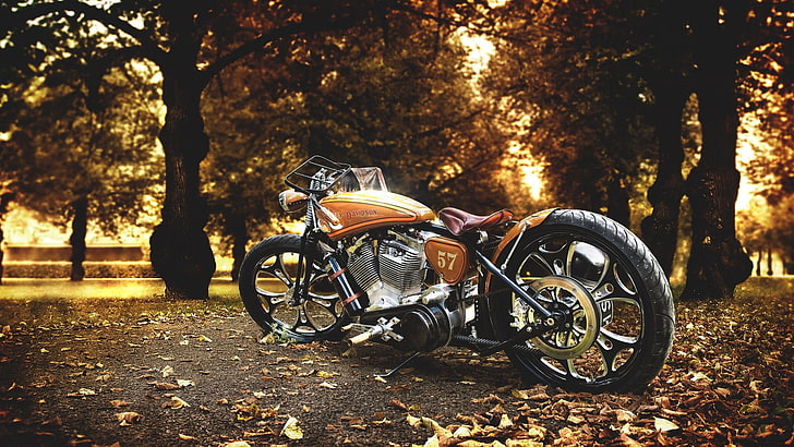 motocicleta cruzador marrom e cinza, motocicleta bobber marrom, Harley Davidson, motocicleta, outono, folhas, veículo, árvores, HD papel de parede