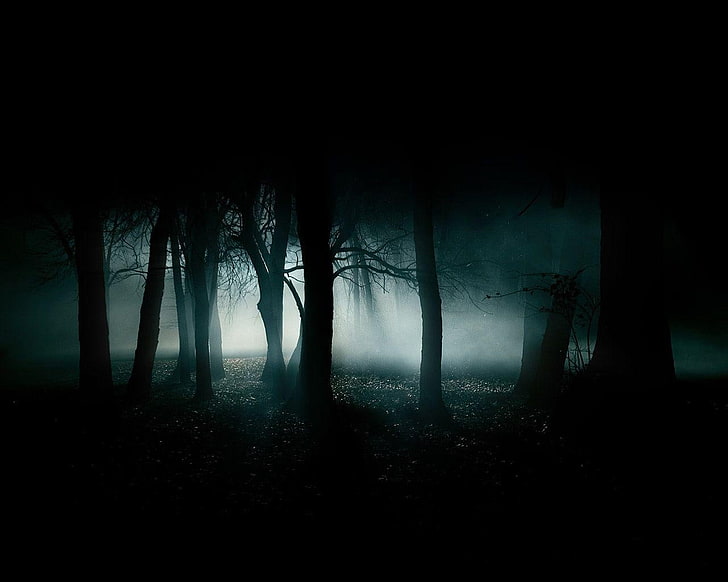 landscapes trees dark night forest fog 1280x1024  Nature Forests HD Art , Trees, Landscapes, HD wallpaper