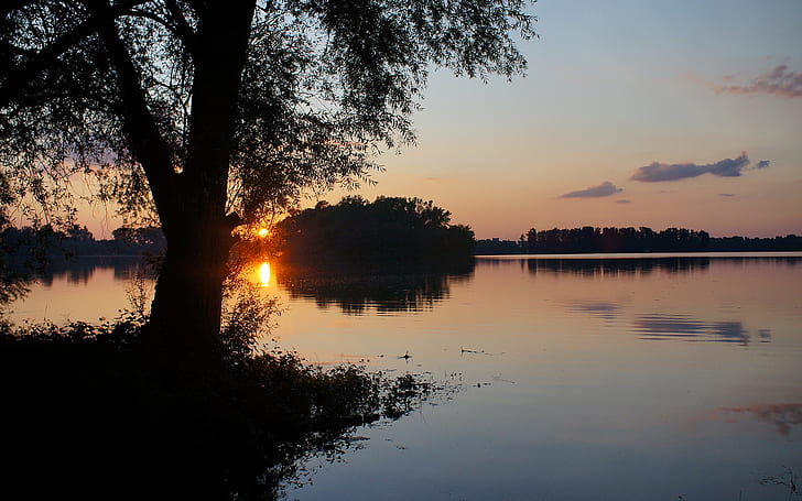 Tree Sunset Lake HD ، شجرة محاطة بنهر بالقرب من سماء غروب الشمس باللون الأرجواني والبرتقالي ، والطبيعة ، والغروب ، والبحيرة ، والشجرة، خلفية HD