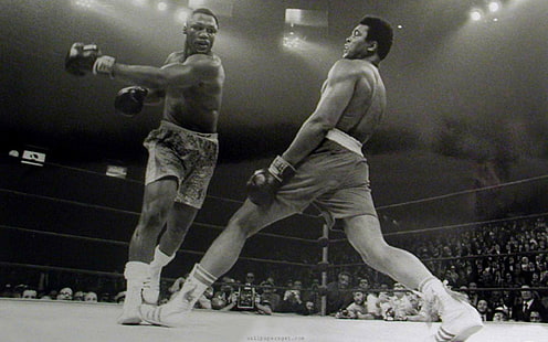boxeo, deporte, Muhammad Ali, monocromo, hombres, Fondo de pantalla HD HD wallpaper