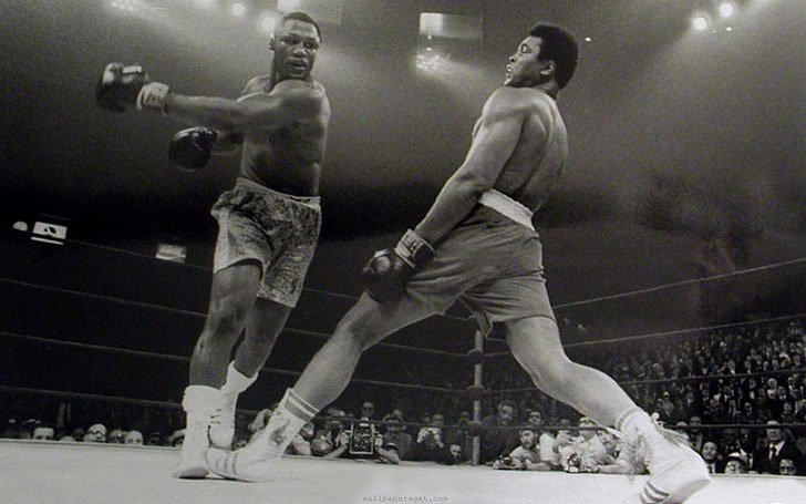 Muhammad Ali, monokrom, olahraga, tinju, pria, Wallpaper HD