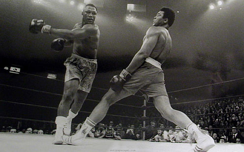 Muhammad Ali, monokrom, sport, boxning, män, HD tapet HD wallpaper