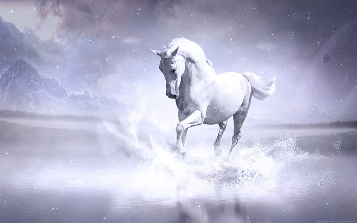 Cavalo branco, cavalo branco, HD papel de parede