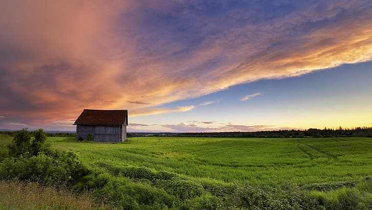 field, the sky, shed, HD wallpaper
