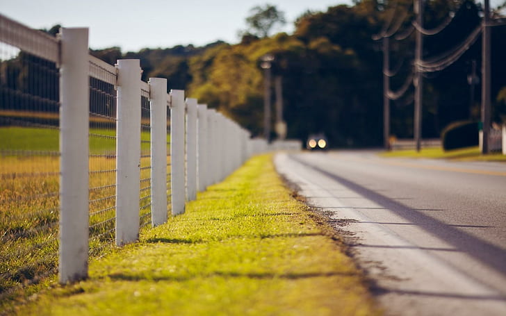 Road Fence Grass, road, fence, grass, HD wallpaper