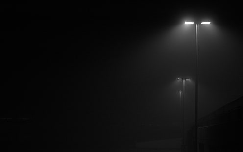 escuro, nevoeiro, lâmpada, luzes, monocromático, poste, HD papel de parede HD wallpaper