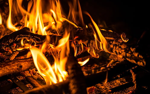 fire, long exposure, wood, embers, HD wallpaper HD wallpaper