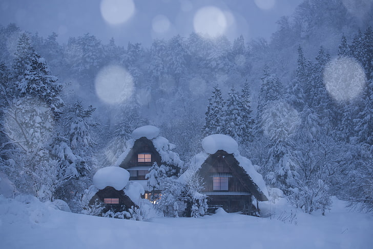trois maisons couvertes de neige, hiver, forêt, neige, arbres, Japon, village, maisons, Shirakawa, Shirakawa-go, Fond d'écran HD