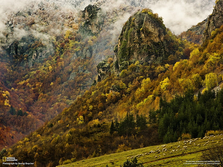 กระดานไม้สีน้ำตาลและสีดำทิวทัศน์ธรรมชาติภูเขา, วอลล์เปเปอร์ HD