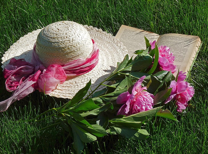 fleurs de pivoine rose et chapeau de soleil brun, pivoines, fleurs, pré, chapeau, livre, soleil, vacances, Fond d'écran HD