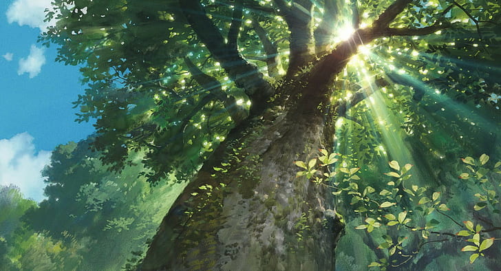 worms eye view, nature, Studio Ghibli, sunlight, sun rays, Karigurashi no Arrietty, trees, HD wallpaper