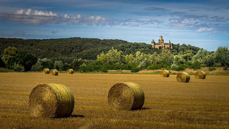 field, castle, hay, HD wallpaper