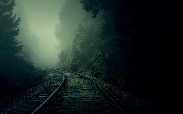 nature dark forest fog railroad tracks pine trees 2560x1600  Abstract Fantasy HD Art , nature, dark, HD wallpaper
