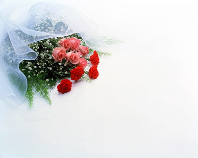 ramo de rosas rojas y rosadas, rosas, flores, gypsophila, flor, decoración, Fondo de pantalla HD HD wallpaper