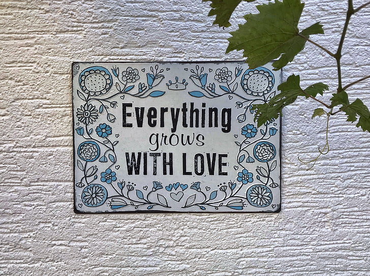 бело-синий цветочный декор стен, надпись, вывеска, мотивация, любовь, HD обои