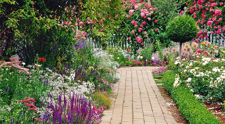 white and pink flowers, flowers, garden, green, walking paths, beautiful, HD wallpaper